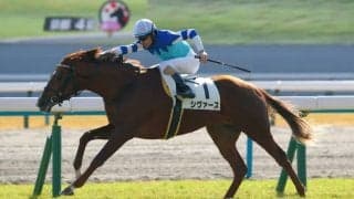 【きさらぎ賞登録馬】良血シヴァースなど12頭