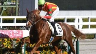 【きさらぎ賞見どころ】新馬戦圧勝のビザンチンドリームが重賞初制覇に挑む