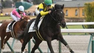 【東京新聞杯見どころ】秋華賞2着のマスクトディーヴァがマイルで始動