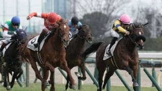 【新馬/東京5R】ドゥラメンテ産駒 マルコタージュがデビュー勝ち