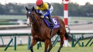 最優秀スプリンターのママコチャ 今後は高松宮記念に直行/JRA賞授賞式