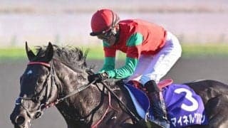 最優秀障害馬に選出されたマイネルグロン 岡田紘和代表「中山GJへ順調にいければいいなと」/JRA賞授賞式