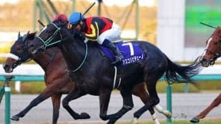 2歳女王アスコリピチェーノは北村宏司騎手と桜花賞へ直行