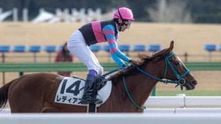 【東京7R】武豊騎乗、レディアスが快勝