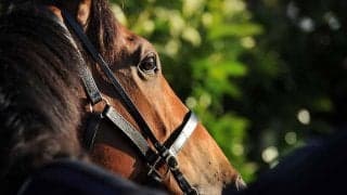 【東京新聞杯／危険な人気馬】前走GI馬券内も“消し”の鬼門　「好走→惨敗のぶっ飛びパターン」