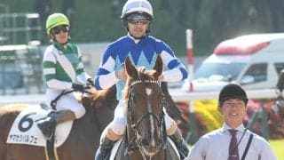 母はGI・2勝馬ヴィブロス きさらぎ賞に佐々木主浩氏所有の良血馬が挑む