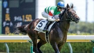 【きさらぎ賞予想オッズ】ファーヴェントが予想1番人気