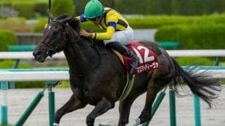 ローズSレコードV＆秋華賞2着の4歳牝馬 東京新聞杯で重賞2勝目狙う