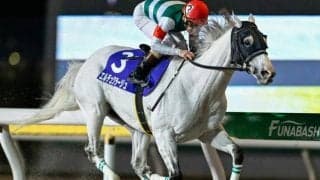 【川崎・報知オールスターC枠順】10歳古豪エルデュクラージュは5枠5番