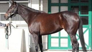 リバティアイランドとも遜色ない迫力 東京新聞杯で初のマイルも「爆発力の面では対応できるでしょう」