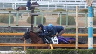 ドンフランキー、フェブラリーS2週前追い切り速報/栗東トレセンニュース