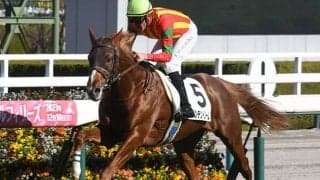 R.ピーヒュレク騎手にJRA重賞初Vチャンス 新馬戦快勝の大器候補ときさらぎ賞参戦