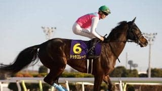 【フェブラリーS想定】ドゥラエレーデ、イグナイターなど19頭