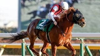 7歳馬ウインカーネリアン 東京新聞杯で史上初の連覇＆24年ぶりの快挙狙う