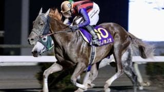 【高知競馬】年度代表馬は高知三冠を達成したユメノホノオ