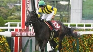 【東京新聞杯出走馬・騎手確定】マスクトディーヴァ＆岩田望来騎手、ジャスティンカフェ＆坂井瑠星騎手など16頭