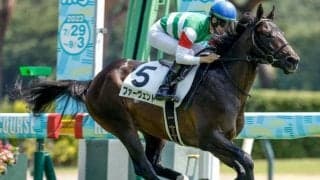 【きさらぎ賞出走馬・騎手確定】ファーヴェント＆川田将雅騎手、ビザンチンドリーム＆R.ピーヒュレク騎手など12頭