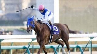 ダイワスカーレットの“最後の仔”がデビュー 11番仔にして初の牡馬