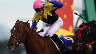 屈腱炎から復活した名馬は？ 再発乗り越えダートの一時代を築いたGI馬も