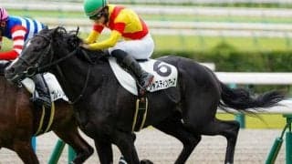 今週も杉山晴紀厩舎が主役か きさらぎ賞で2週連続重賞V狙う