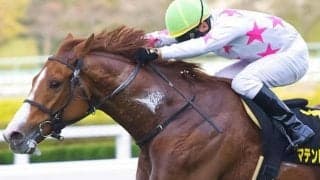 横山典弘騎手が14年ぶりの東京新聞杯Vなるか 松永幹夫師との“同期タッグ”で参戦