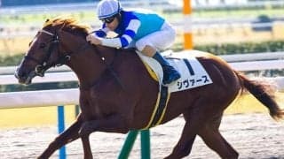 4年ぶり京都芝1800mで開催のきさらぎ賞 改修後のデータから舞台適性の高い馬は？