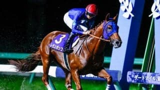 サウジカップの馬券発売が決定 レモンポップら日本から5頭が出走予定
