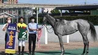22年の小倉記念覇者マリアエレーナが抹消 日高大洋牧場で繁殖入り