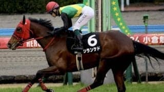 馬場傾向から土曜注目の3頭 小倉芝は圧倒的に「外差し有利」