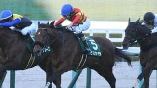 【京都記念想定馬・騎手】ベラジオオペラ、ルージュエヴァイユなど12頭