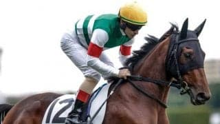 【クイーンC想定馬・騎手】アルセナール、ルージュスエルテなど12頭