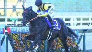 【共同通信杯想定馬・騎手】ジャンタルマンタル、ベラジオボンドなど11頭