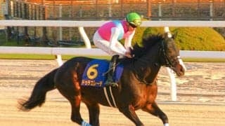 【フェブラリーS想定馬・騎手】ドゥラエレーデ、ウィルソンテソーロなど26頭