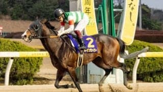 バーデンヴァイラーの競走馬登録抹消