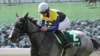 マリアエレーナの競走馬登録抹消