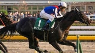 キズナ産駒が京都芝で絶好調！ エルフィンSはライトバックの末脚に期待