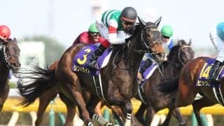 オークス馬シンハライトの仔がデビュー C.ルメール騎手とコンビで勝利なるか