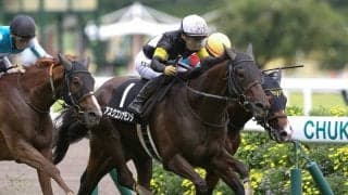 東京新聞杯は「ハイペース、高速決着」濃厚　人気薄の追い込み馬に一発の魅力