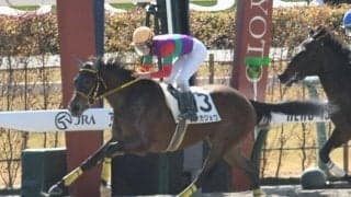 【京都4R新馬戦結果】サンダースノー産駒の13番人気テンカジョウがV