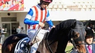 単勝247.1倍の低評価覆す ペッパーミルが東京2Rを快勝