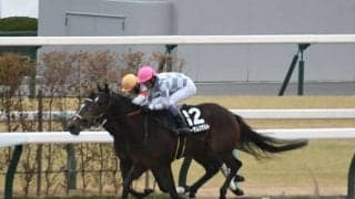 【アルデバランS結果】武豊騎手オーサムリザルトが無傷の5連勝！