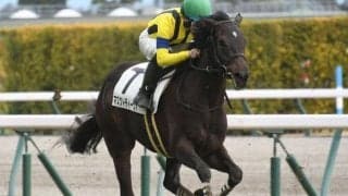 【東京新聞杯予想】前走同距離組が良績残す 前走2000m組に要求される“好走条件”とは