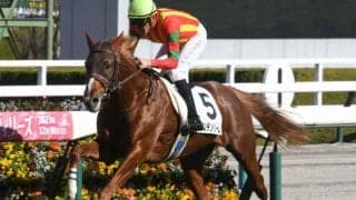 【きさらぎ賞予想】経験の浅さが位置取りに影響!? 相手強化でポジションを落とす可能性