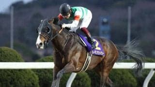 ダート重賞2勝のバーデンヴァイラーが抹消 今後は川崎競馬へ移籍