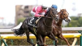 東京芝は内有利の高速決着 内枠巧者のサクラトゥジュールが高配呼ぶ