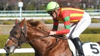 【きさらぎ賞前日オッズ】ビザンチンドリームが2.2倍で1番人気