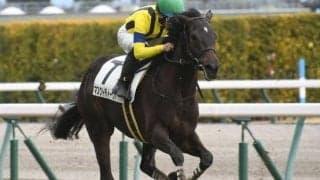 【東京新聞杯前日オッズ】マスクトディーヴァが1.8倍で1番人気