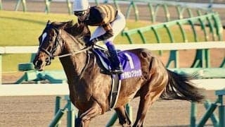 GI・7勝馬キタサンブラックの半弟 武豊騎手を背に日曜京都5Rでデビュー