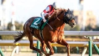 【AI予想・東京新聞杯】攻略ポイントは高速決着への対応と脚質にアリ!? 近走の敗因が明確で巻き返しに期待が高まる本命馬とは