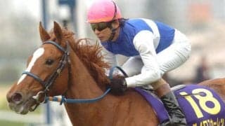 ダイワスカーレットの“最後の仔” 良血馬がそろった日曜京都5Rでデビュー